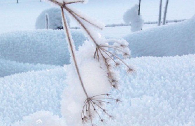 Danas hladno sa vjetrom, do 10 stepeni