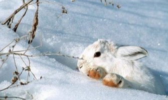 Novo zahlađenje: Od četvrtka snijeg i pad temperature