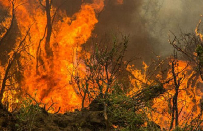  Požar u nacionalnom parku se širi