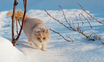 Evo kakvo nas vrijeme očekuje do ponedeljka