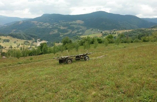 Raspisan foto konkurs na temu crnogorske poljoprivrede