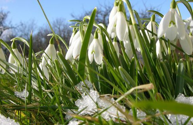 Evo kakvo nas vrijeme očekuje do petka