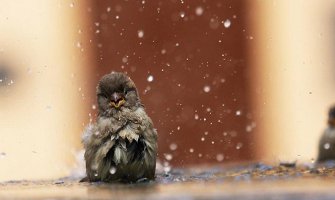 Evo kako vas vrijeme očekuje narednih dana