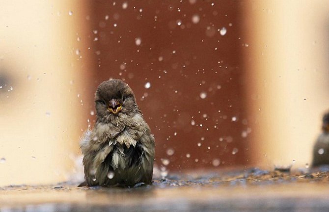 Evo kako vas vrijeme očekuje narednih dana