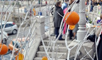 Mala fešta od naranče sjutra u Herceg Novom