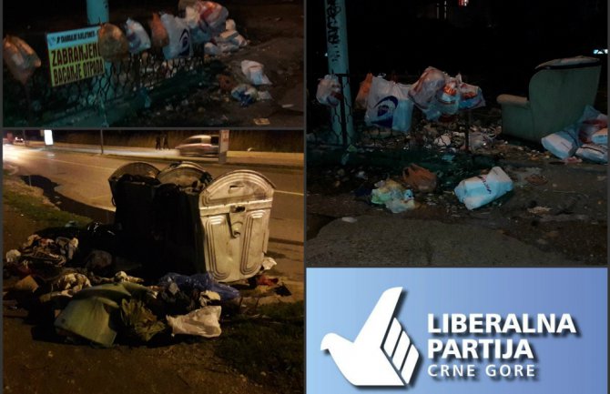 Za odlaganje smeća, svuđe se najbolje pokazala - kanta