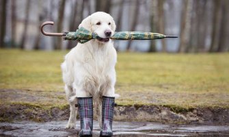 Moguća slaba kratkotrajna kiša