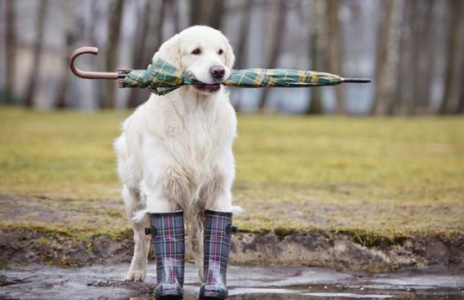 Moguća slaba kratkotrajna kiša