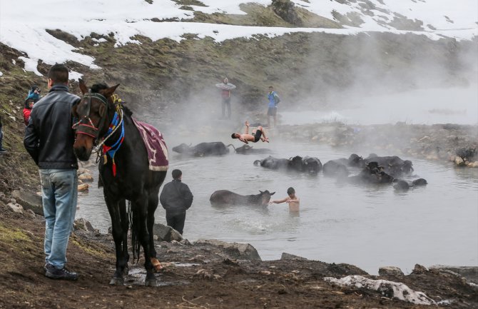 Zajedničko kupanje mladića i životinja u termalnoj vodi (FOTO)