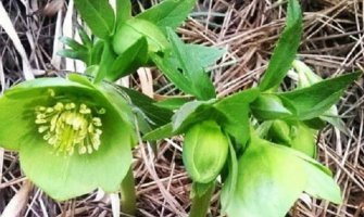 Evo kakvo nas vrijeme očekuje do ponedeljka 