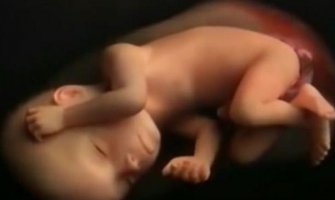 Evo šta se dešava u stomaku tokom 9 mjeseci trudnoće (VIDEO)