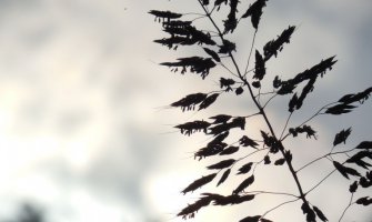 Evo kakvo nas vrijeme očekuje do utorka