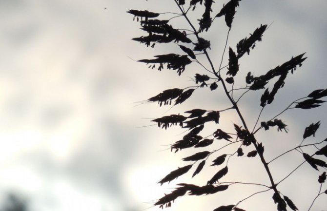 Evo kakvo nas vrijeme očekuje do utorka