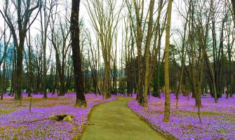 Evo kakvo nas vrijeme očekuje do četvrtka