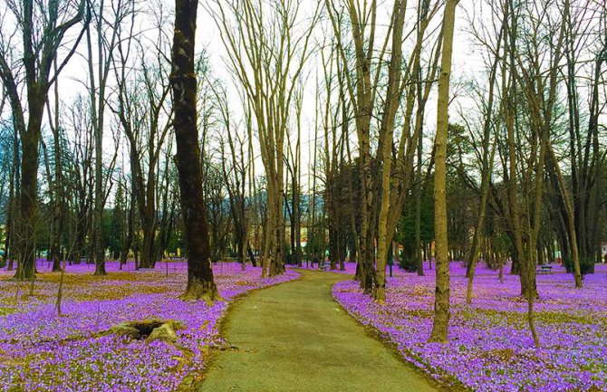 Evo kakvo nas vrijeme očekuje do četvrtka