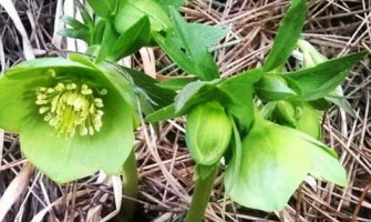 Pročitajte kakvo nas vrijeme očekuje do petka