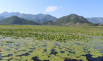 Na Skadarskom jezeru zabrana ribolova od 15.marta do 1.juna