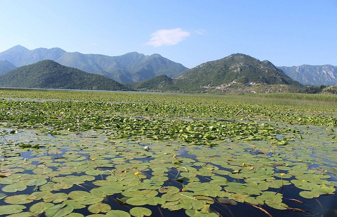 Na Skadarskom jezeru zabrana ribolova od 15.marta do 1.juna