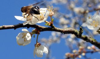 Evo kakvo nas vrijeme očekuje do kraja sedmice 