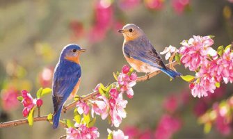 Evo kako vas vrijeme očekuje narednih dana