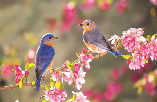 Evo kako vas vrijeme očekuje narednih dana