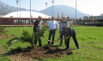 Bar: “Zeleni plan 1000”- Završen iskop za sadnju 42 masline i 8 palmi