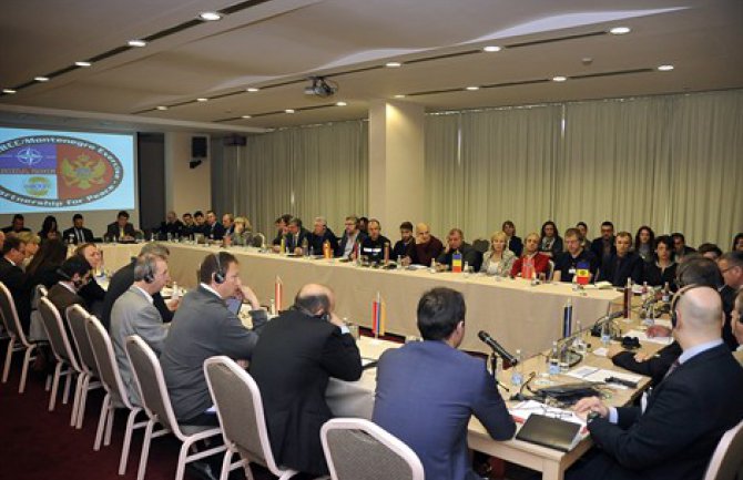 NATO pomaže i u saniranju posljedica civilnih katastrofa