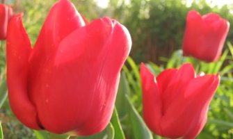 Evo kakvo nas vrijeme očekuje do petka