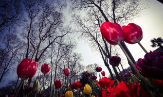 Sunčano, do 25 stepeni 