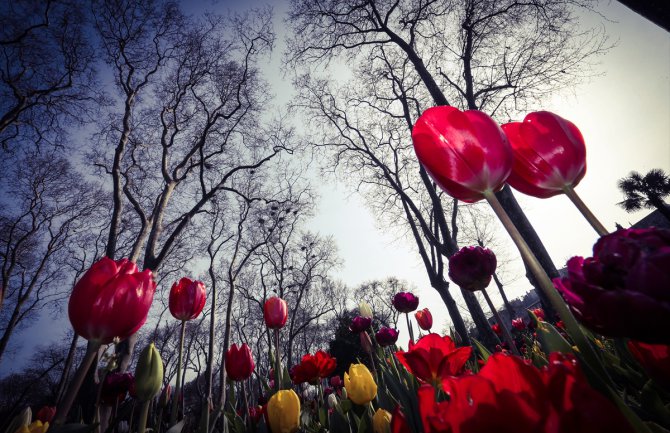 Sunčano, do 25 stepeni 