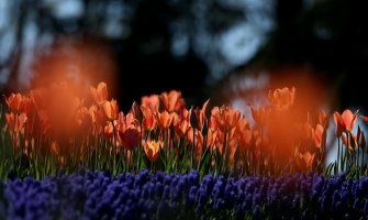 Pretežno sunčano, do 28 stepeni