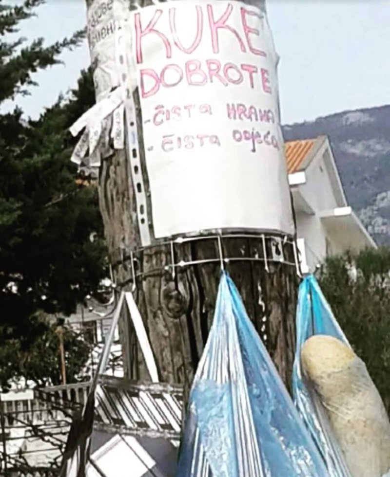 128983961020484161372104904419414044554208o