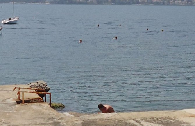 Herceg Novi: Nakon magle, sunčanje i kupanje (FOTO) (VIDEO)