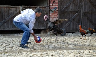 Ovako nešto niste vidjeli: Upoznajte ćurku koja igra fudbal (FOTO)