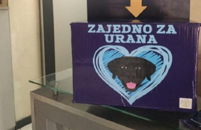  Uspješno završena akcija “Zajedno za Urana”:  Rotarakt sakupio čak i više