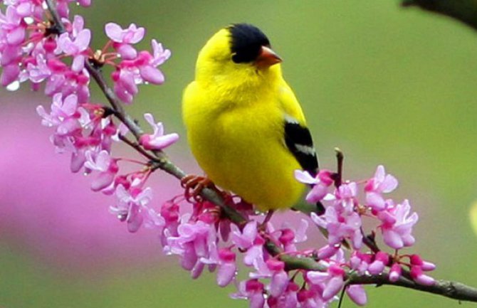 Evo kakvo vas vrijeme očekuje do srijede