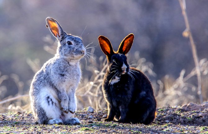 Evo kakvo nas vrijeme očekuje do petka