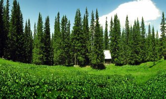 Raičević: Na području 