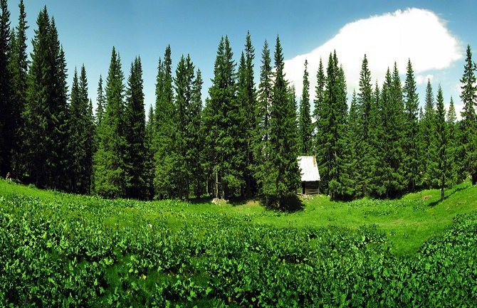 Raičević: Na području 