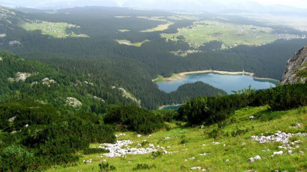 odmoruzpogled610x343