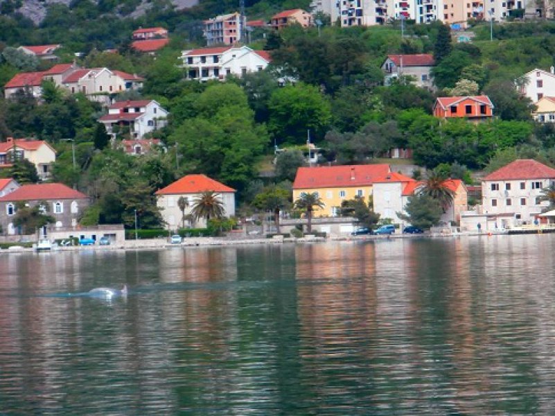 1309609810398479994241171785977104238055016n