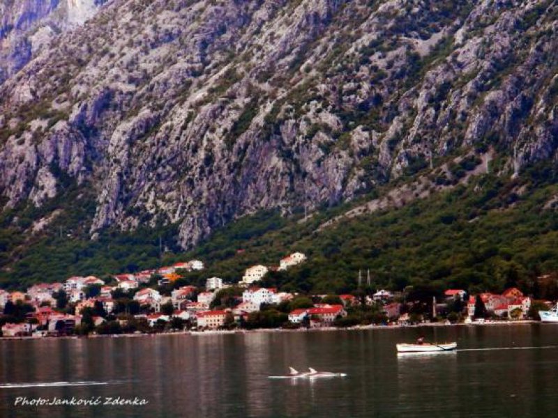 1307668410398473160908525906789776198865935n