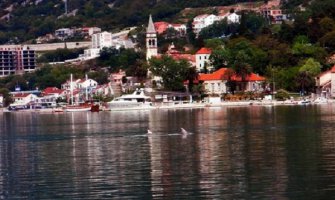  Ples delfina u Kotorskom zalivu (Foto)