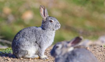 Evo kakvo nas vrijeme očekuje za praznike