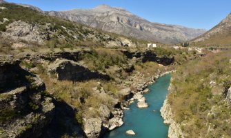 CZIP i Udruženje pčelara dodjeljuju po 4 košnice i 2 pčelinja društva! 