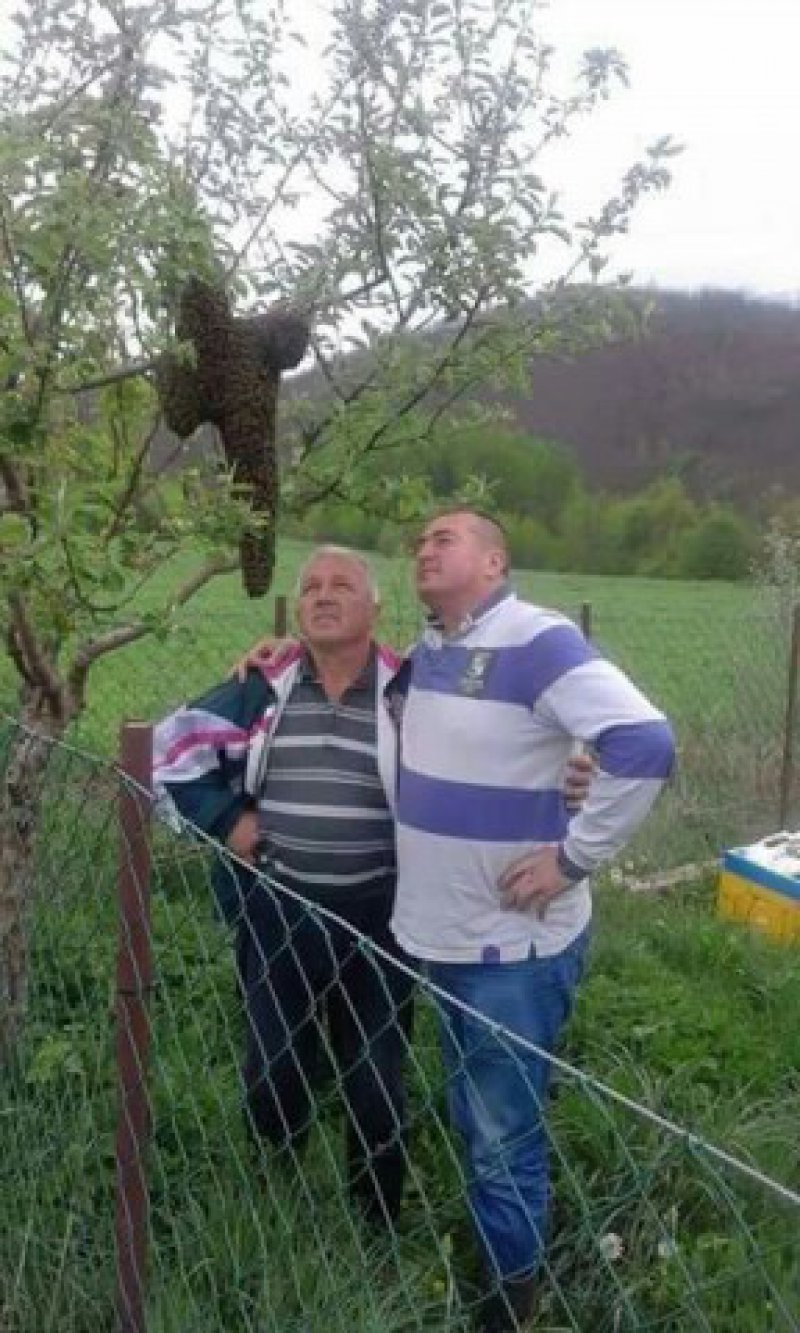 image99f7d6164254581c497e84811c04457c12d1504e3a94d71b0137ba83e9d1f6c3V288x480