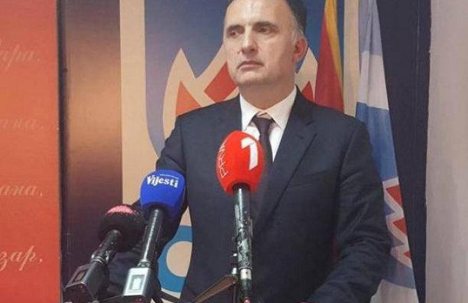 Milić: Nas zanimaju samo slobodni i fer izbori