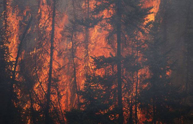 Portugal: Požar zahvatio region Algarve