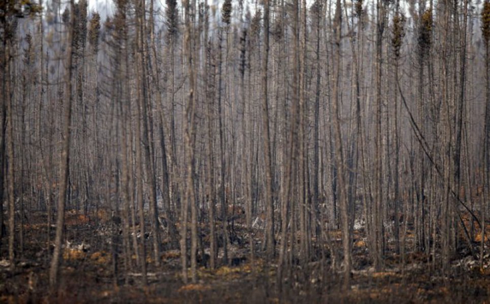 572e3f3a6ca84ec885132c630a0a0a64pozar6718x446