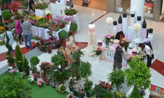 U toku Peti Sajam cvijeća i ukrasnog bilja: Posjetioci oduševljeni ponudom izlagača (FOTO)